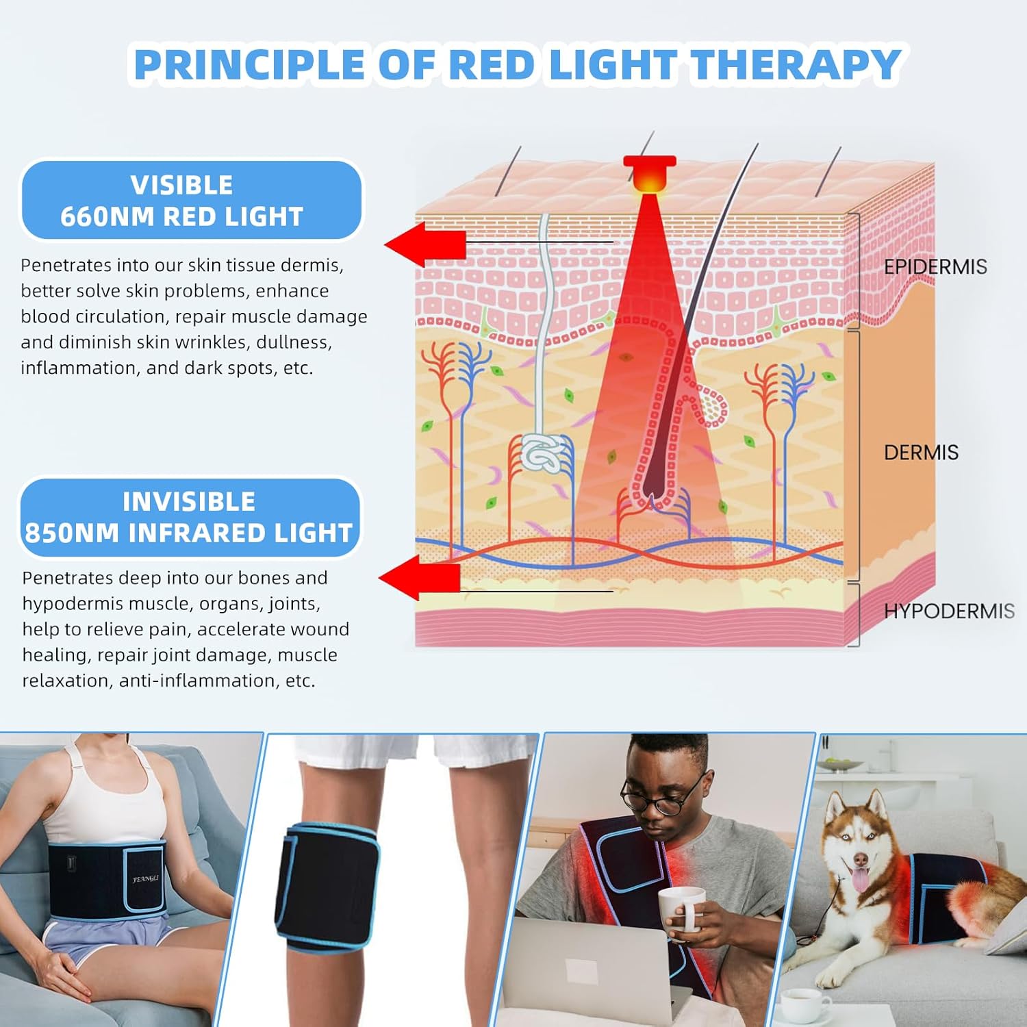 Red Light Slimming Therapy Belt